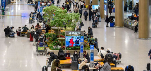 П'ятеро росіян, які втекли від мобілізації, застрягли в аеропорту Сеула в очікуванні слухання про притулок