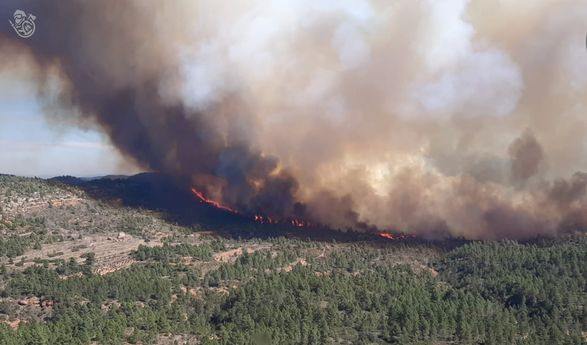 На сході Іспанії вирує велика лісова пожежа: відео
