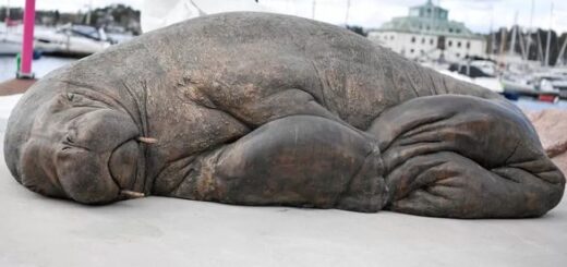 У Норвегії відкрили скульптуру моржа в натуральну величину
