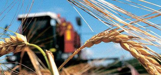 Хорватія виступила за скасування обмеження експорту української сільгосппродукції в Європу 