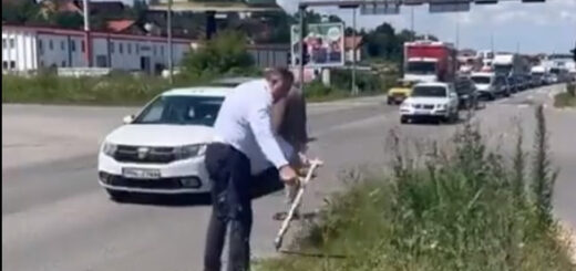 Президент Сербії Додік власноруч викосив траву біля траси, щоб провчити місцеву владу