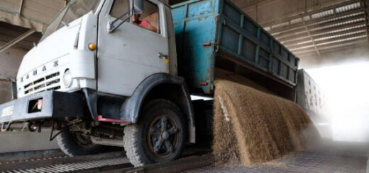Росія повідомила про припинення "зернової угоди", - ООН